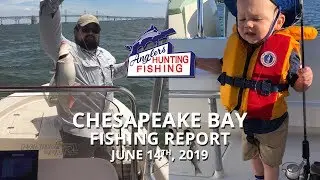 Chesapeake Bay Fishing - June 14th, 2019