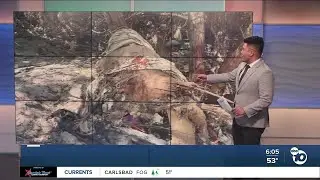 Smuggler's Gulch cleanup underway as trash piles up feet from Tijuana River Estuary