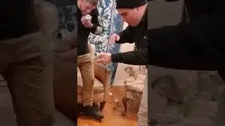 #vegan first #beer #shotgun #FAIL #Fails #drinking #funny #funnyvideo #short #thebronbronshow