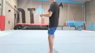Compilation of 1 day training in Bot Gym!