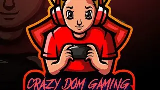 MR DUDE gaming