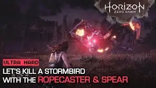 Let's kill a Stormbird with the ropecaster & spear (HZD -ultra hard-)