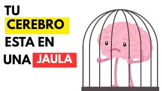 SAL de la Jaula y te HAZTE MILLONARIO de esta FORMA