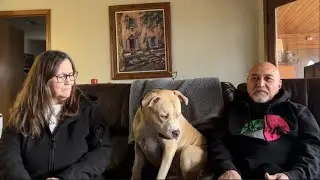 Ogden Utah Dog Training | Salt Lake City Dog Training | &ldquo;It Was Amazingly Fast