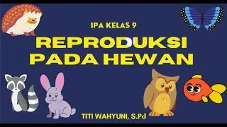 REPRODUKSI PADA HEWAN