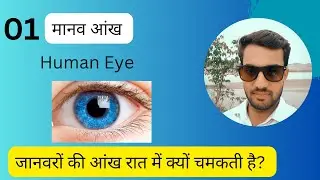 01मानव आंख।।A Study of Human Eye।।Five senses organ।।DDSIR