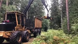 K&ouml;p Skotare Tigercat 1075B p&aring; Klaravik