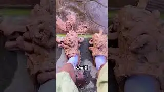 Muddy Shoes This Trick Cleans Them in Seconds!