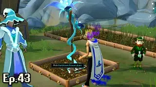 Runescape - Cutting into XP & NEW Starbloom Prep!! - Progress Video (43)