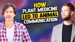 SEO to ESP: Psychedelics, Pattern Recognition & Animal Telepathy - Nick Musica