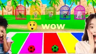 Welfar terast। Cow Tiger hippopotamus gorilla 4K animal blliwod cartoon 