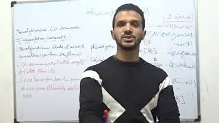 les lois statistiques codominance الحلقة 2 القوانبن الاحصائية تساوي السيادة
