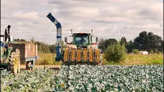 Wurdinger Manufacturing Broccoli Harvester