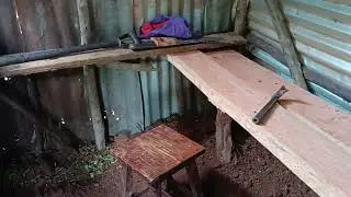 Chicken coop design first step 🪜