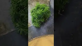 Beauty Of Nature Around The World | Best YouTube Channels