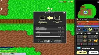 Feeding from Legendary to Divine pet. Part 1. Rotmg. @HAXaLL