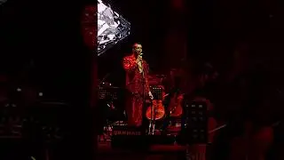 Cem Adrian- Beni Affet Bu Gece (20.Yıl Konseri)