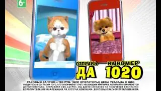 DA (80) 1020_MPEG.mpg