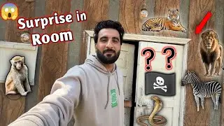 Surprise In Room Kay Hoga? || Shehr Main Dihat 