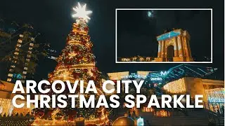 Arcovia City Christmas Sparkle + Mary Grace Comfort Food!