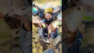 King of angler #fishing #bigrohu #bigfishcutting #rohufishing #rahufish #angelrs #trendingshorts #😍💚