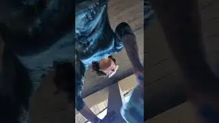 Madison County Sheriff's Office Harassment and Illegal Eviction 11/4/25. North Carolina.