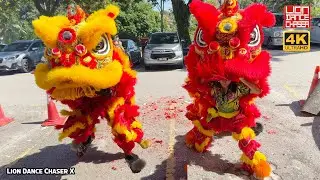 打包杂饭 看到两隻舞狮 在新店表演 超萌的！While buying lunch, saw two lion dance perform at new shop. Super cute!