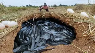 best hand fishing, catch a lot of fish and picking duck eggs by hand a fisherwoma