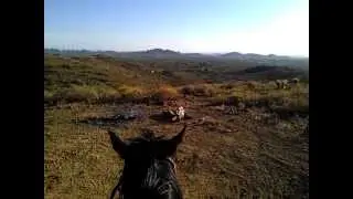 Affordable Horse Property North Phoenix, New River & Desert Hills AZ.