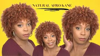 Janet Collection Natural Curly Synthetic Hair Wig - NATURAL AFRO KANE --/WIGTYPES.COM