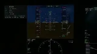 Boeing B787 Stall Demonstration & recovery on Autopilot (simulator) with tips, see description