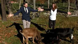 NEWS10's Anthony Krolikowski tries goat yoga