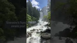 Yosemite NP🌲, CA #explore #nature #travel #usa #youtubeshorts #follow #trip #beautiful #photography