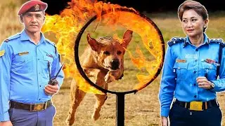 Police Dog Hardest Training🇳🇵 | Dangerous Training of Dog😨