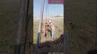 SPT test prime soil testing #hijab #love #live #music #automobile #edms