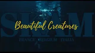 Beautiful Creatures || Elu | Sobbe | Martinico || HAPPY PRIDE!!