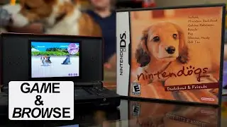 Walking with our Nintendogs Down Memory Lane | Game & Browse Recap