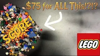 Все эти детали LEGO всего за 75 долларов!