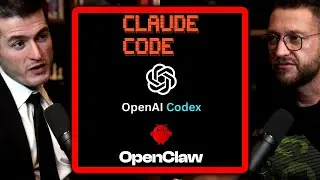 Best AI agent for programming: Claude Code vs OpenAI Codex vs OpenClaw | Peter Steinberger