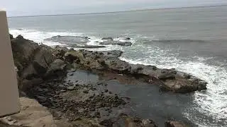 Hidden Surf Spot
