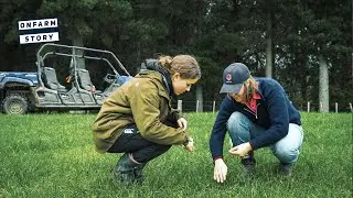 Kickstarting Students Agricultural Careers at Feilding High School | On Farm Story