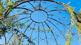 A serenic Luncheon Experience   #viral #roses #friends #lunch #photography #nature #flowers #travel 