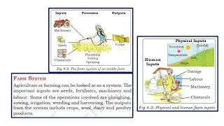 CLass8 Ch4 Agriculture   Part 1