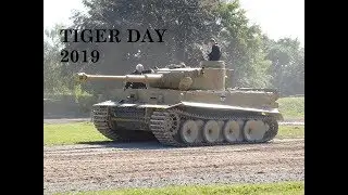 TIGER DAY 2019