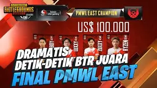Moment Paling Mendebarkan Saat BTR RA Juara PMWL East - PUBG Mobile