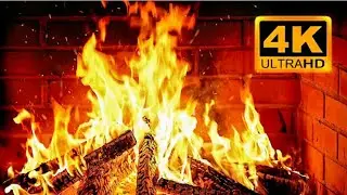 🔥 Winter FIRE for the cold evenings 🥶⛄🧊