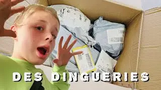 On ouvre des colis perdus on a des dinguerie ￼￼