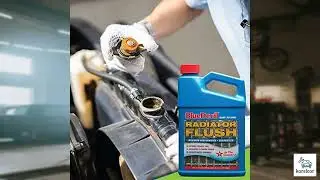 Review - BlueDevil Products 00204 Radiator Flush - 1 Quart