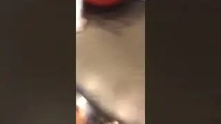 Fixing lid on contigo auto seal 32 oz water mug