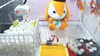 Toreba Win! Pote Usa Loppy - Halloween Bunny B
